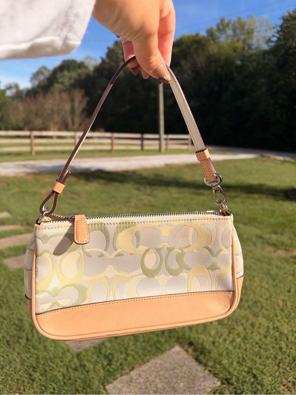 Coach Signature Canvas Mini Shoulder Bag in green Cream